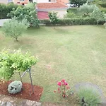 Asparagus
