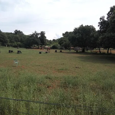 Apartamento Asparagus