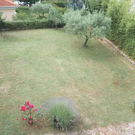 Apartman Asparagus