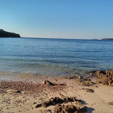 Asparagus Rovinjsko Selo