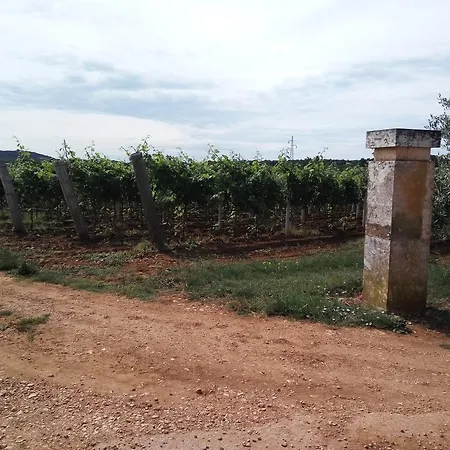 Apartman Asparagus Rovinjsko Selo