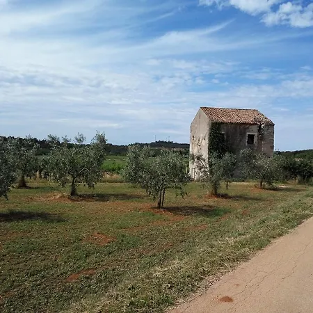 Apartman Asparagus Rovinjsko Selo