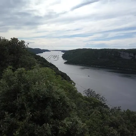 Asparagus Rovinjsko Selo