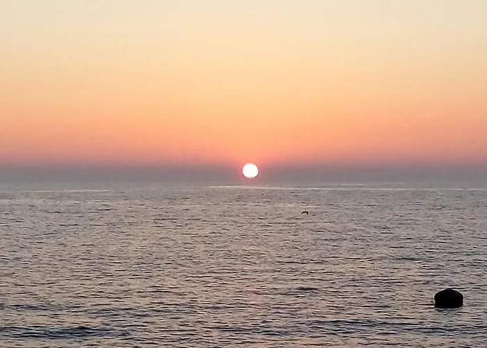 アパート Asparagus *