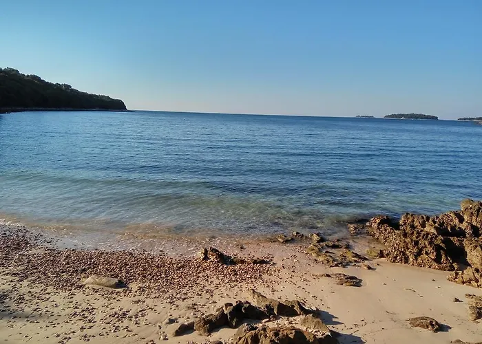 Asparagus ロヴィンスコ・セロ