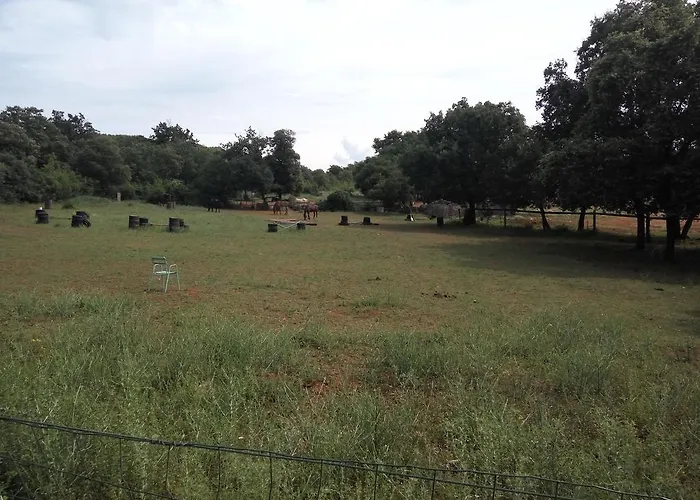 アパート Asparagus