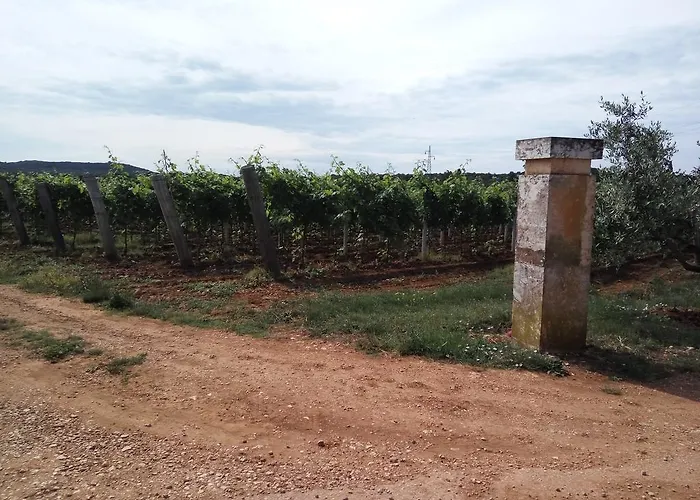 アパート Asparagus ロヴィンスコ・セロ