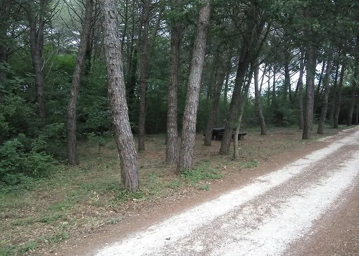 アパート Asparagus